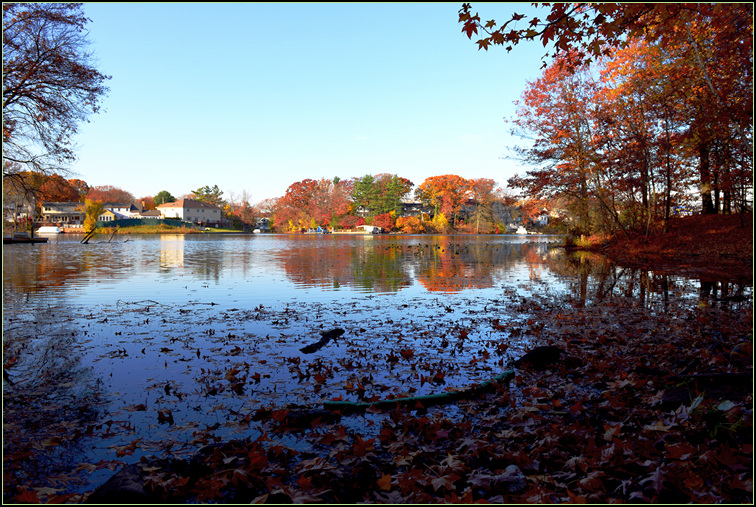 DSC_0183.jpg