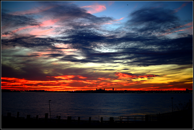 DSC_7954.jpg
