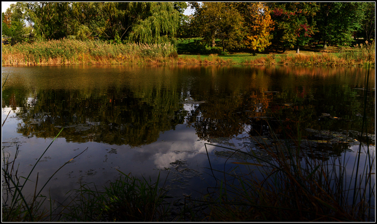 DSC_7246.jpg