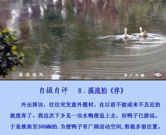 溪流远处.jpg