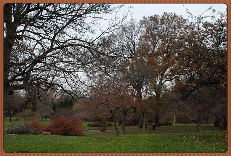 DSC_0006.jpg
