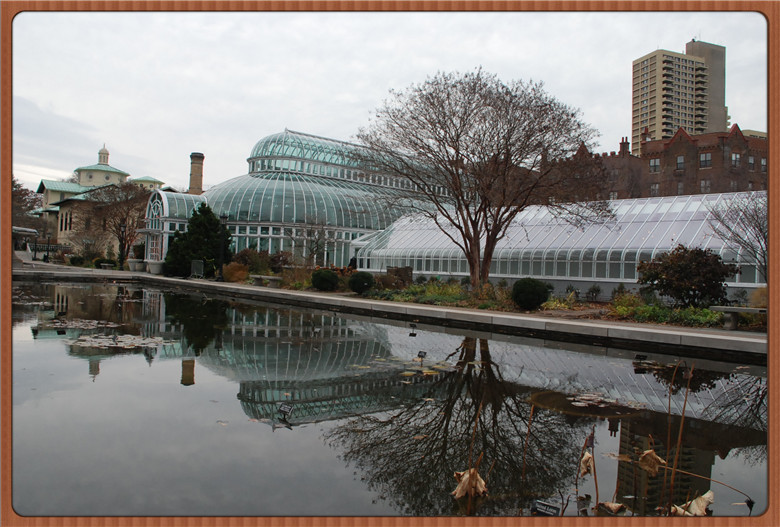 DSC_0017.jpg