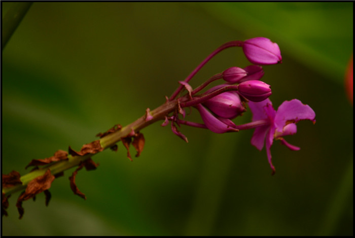 DSC_6662.jpg