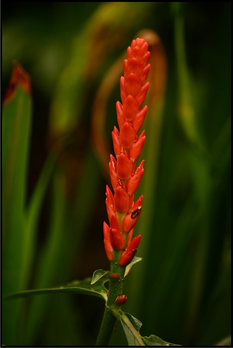 DSC_6653.jpg