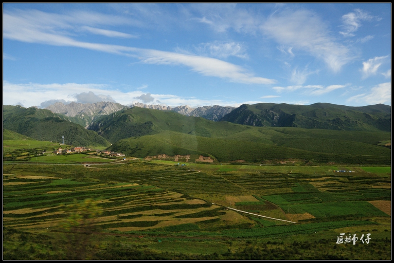 DSC_1954.jpg