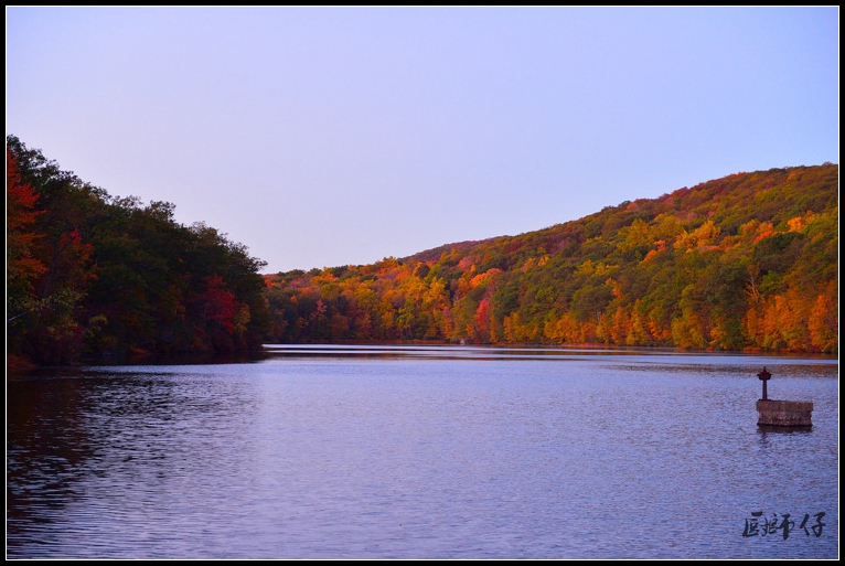 DSC_6227.jpg