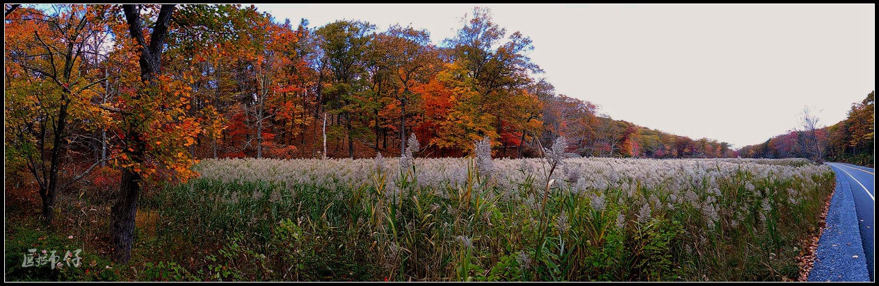 DSCN1394.jpg