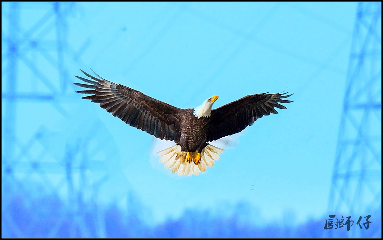 DSC_8012a.jpg