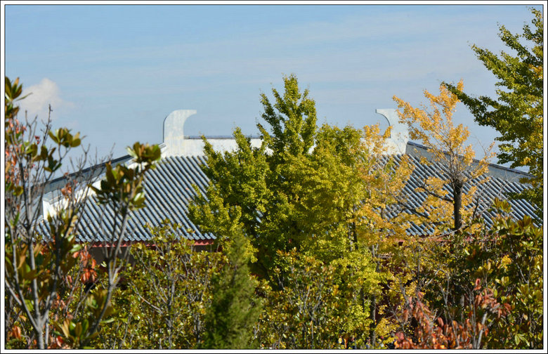 DSC_2286.JPG