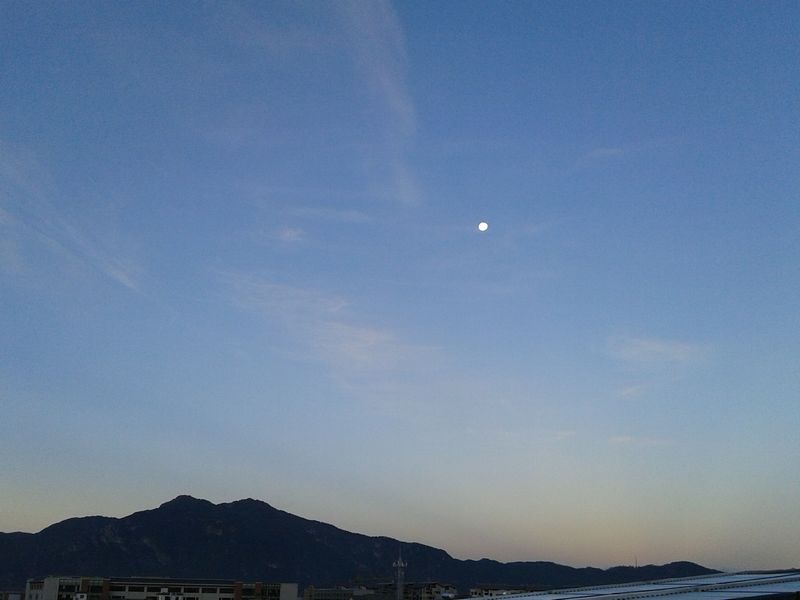 DSCF0124.jpg