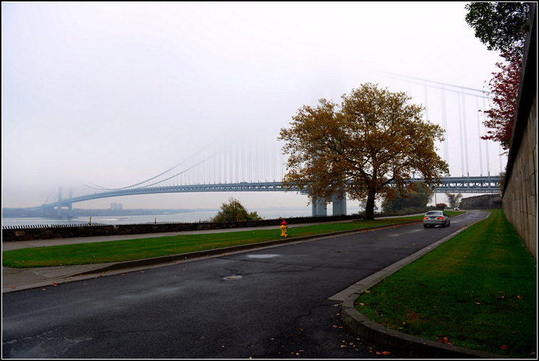 DSC_9403.jpg
