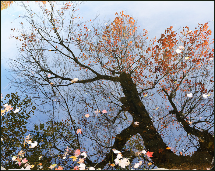 DSC_9744.jpg