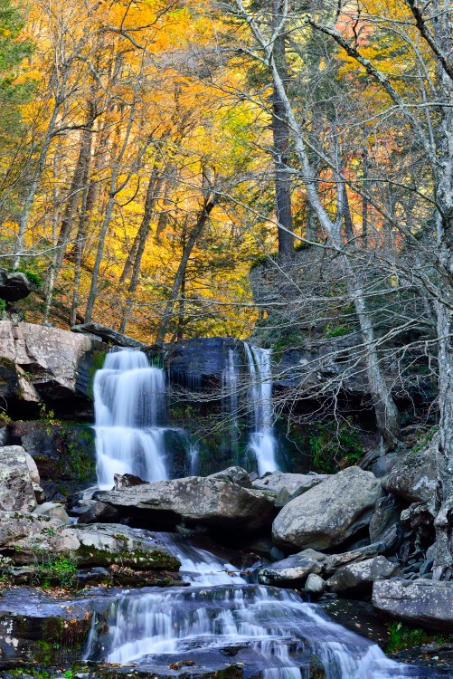 _DSC5228_1_01.JPG
