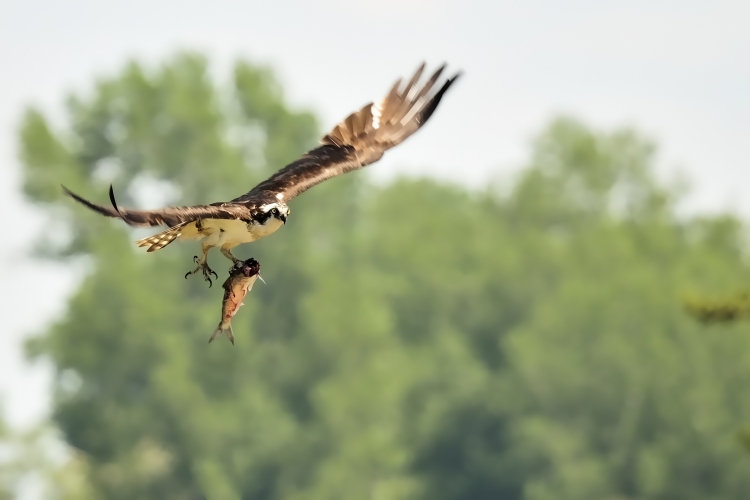 _DSC2825_2_01.JPG