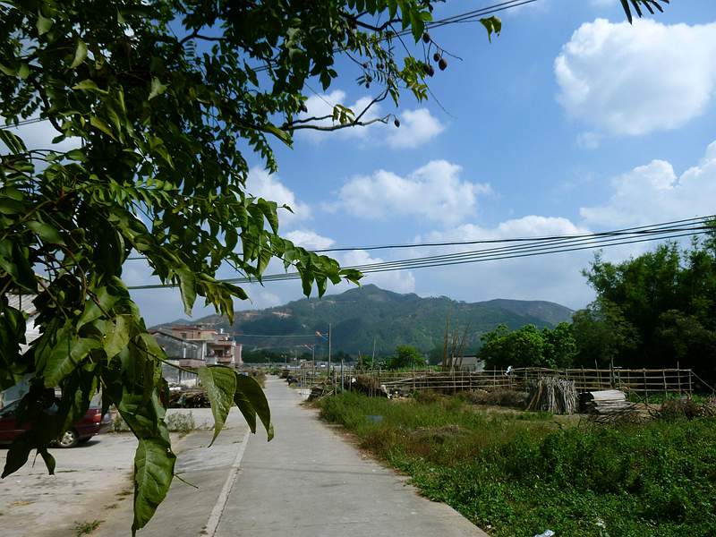 DSCF0002.jpg