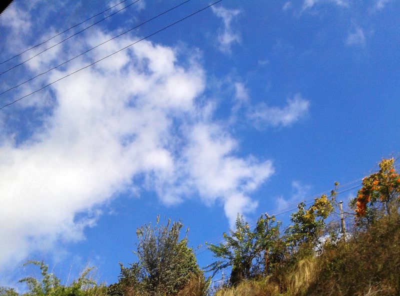 DSCF0011.jpg