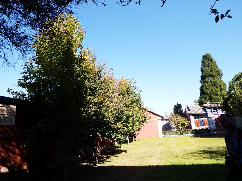 DSCF7749.jpg