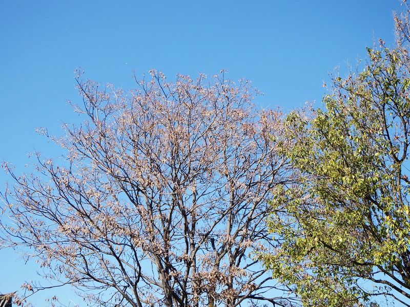 DSCF7750.jpg