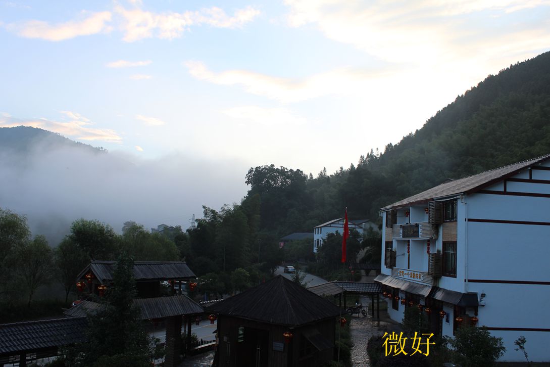 IMG_7349_.jpg
