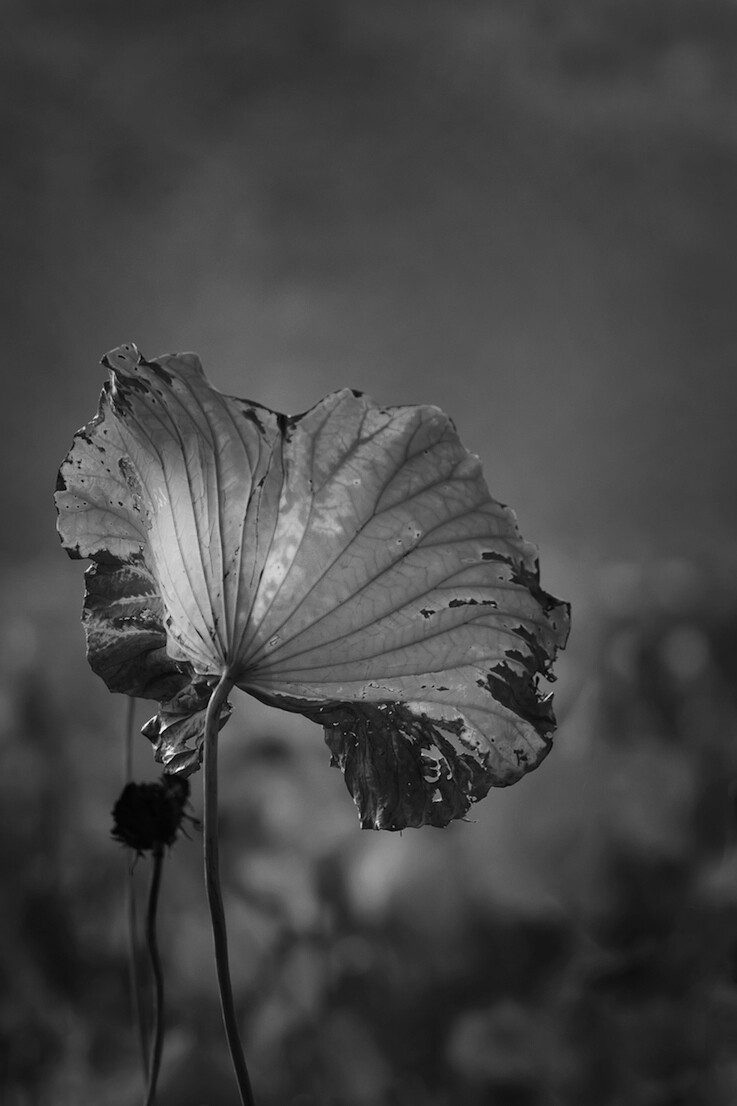 QQͼƬ20141014150921.jpg