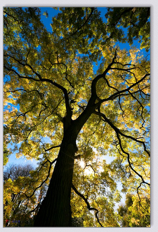 �}�u -11-15-2014��ɫ-2 215-2.jpg