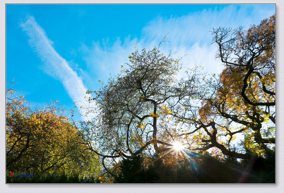 �}�u -11-8-2014��ɫ-1 076-2.jpg