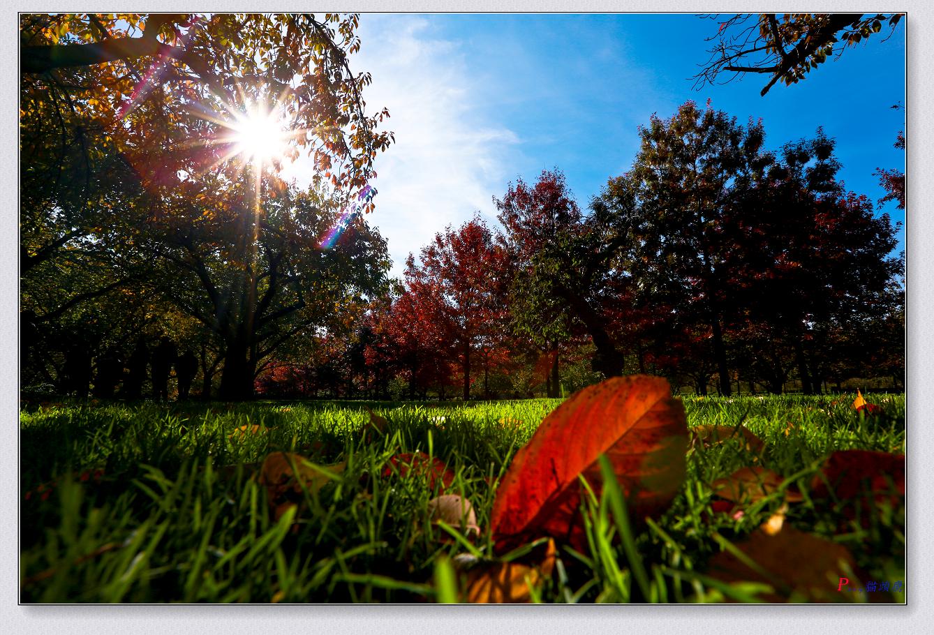 �}�u -11-8-2014��ɫ-1 018-2.jpg