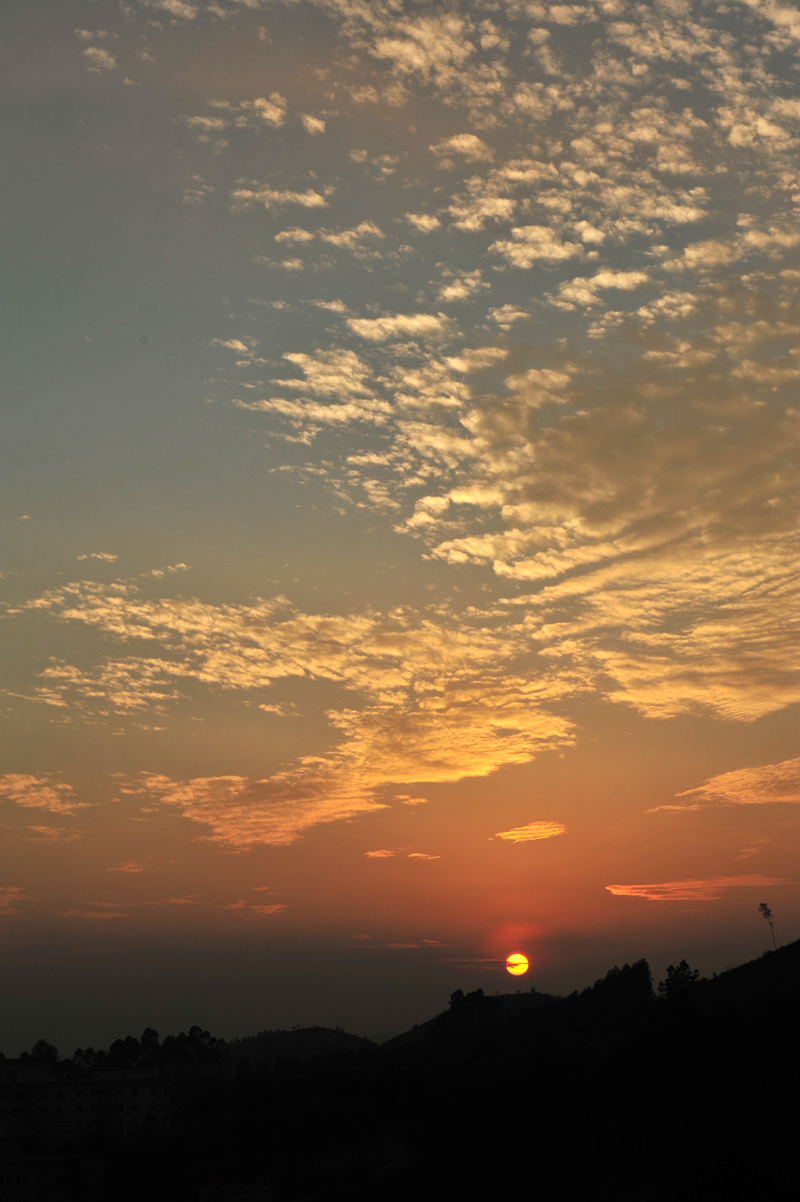 DSC_6696.JPG