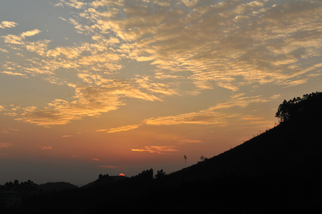 DSC_6772.JPG