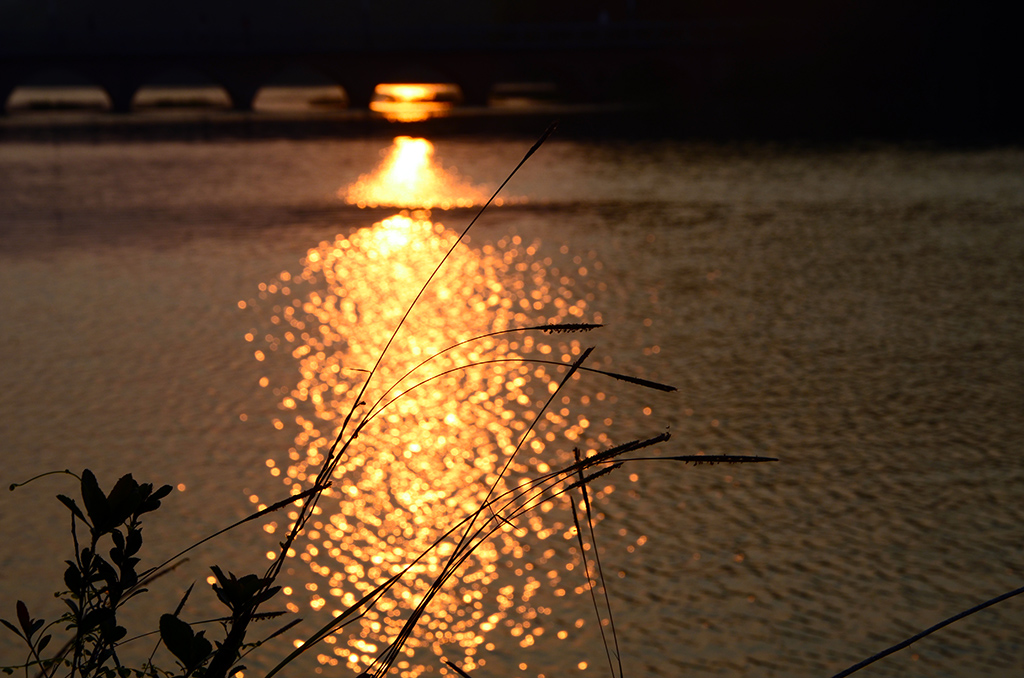 DSC_5982.JPG