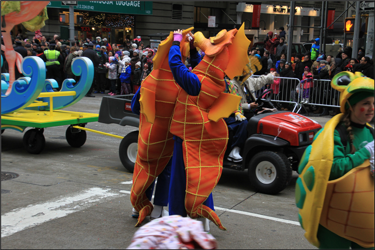 IMG_7312.jpg