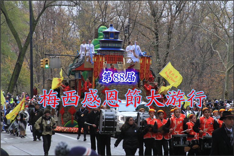 IMG_7330.jpg