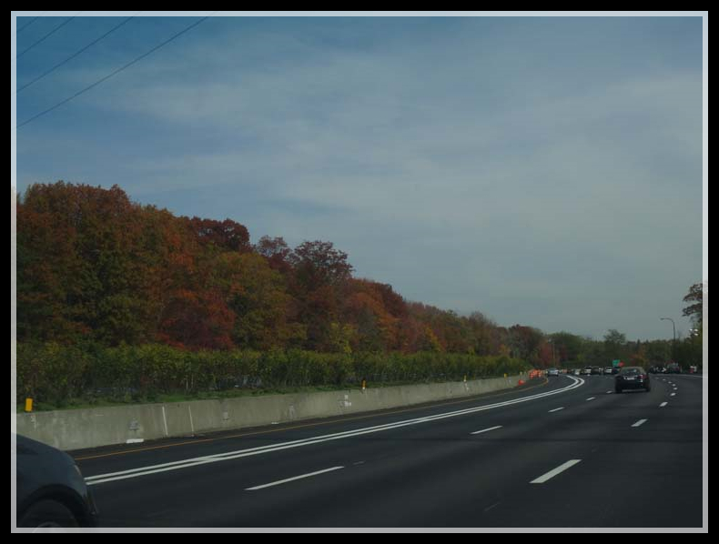 DSC09082.jpg