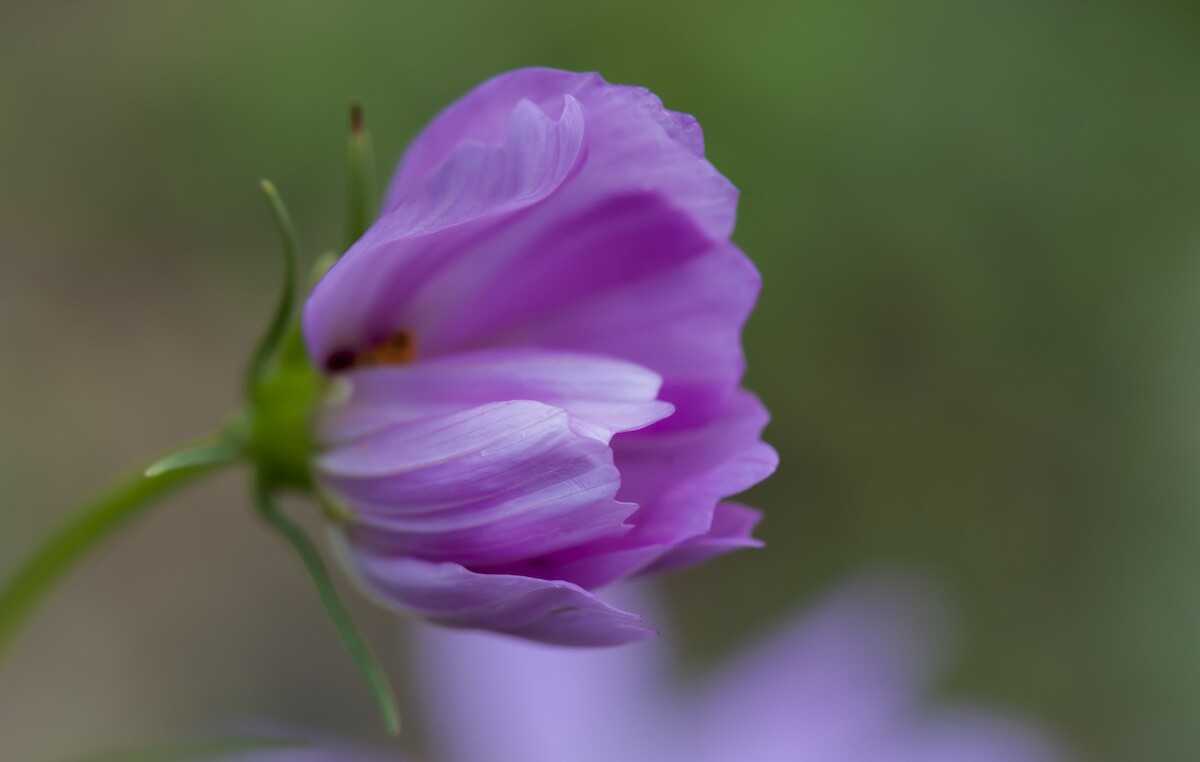 QQͼƬ20140530135155.jpg