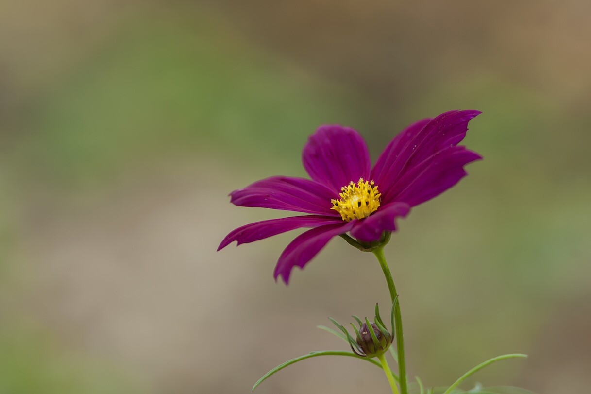 QQͼƬ20140527132937.jpg