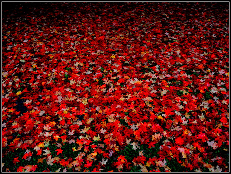 DSCN1248.jpg