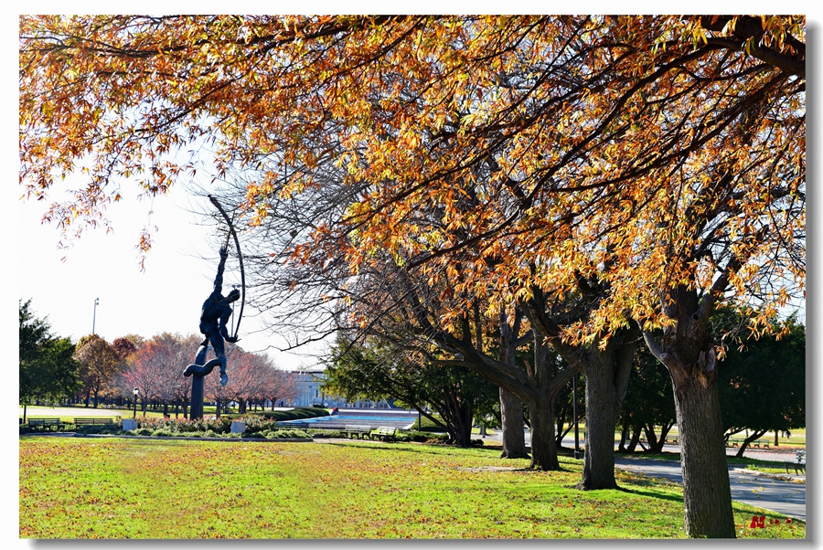 DSC_2354 ����_����.jpg