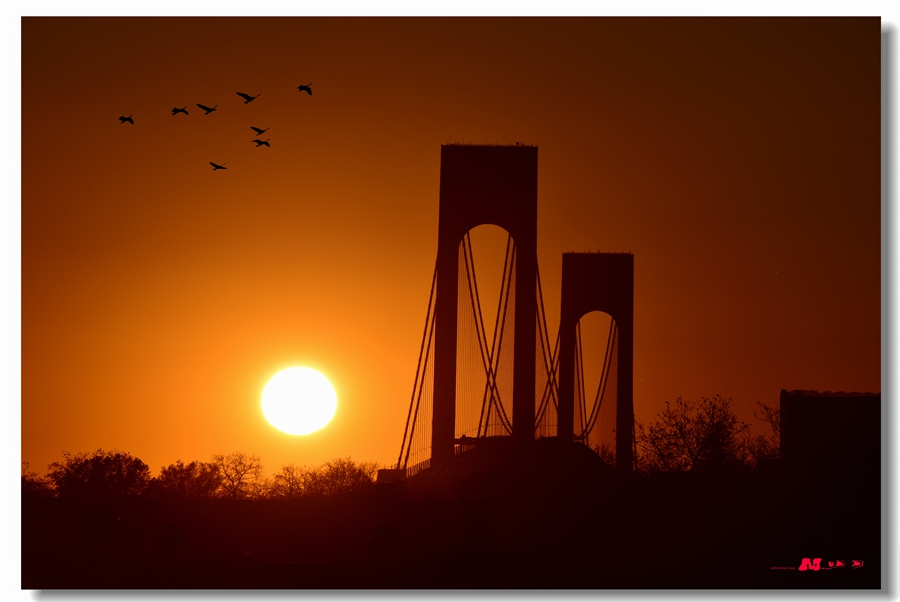 DSC_2393 ����_����.jpg