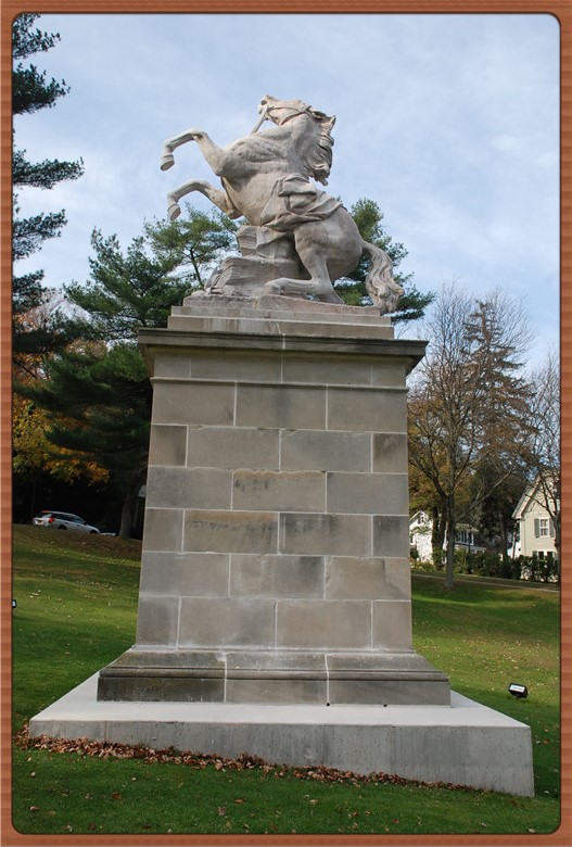DSC_0116.jpg