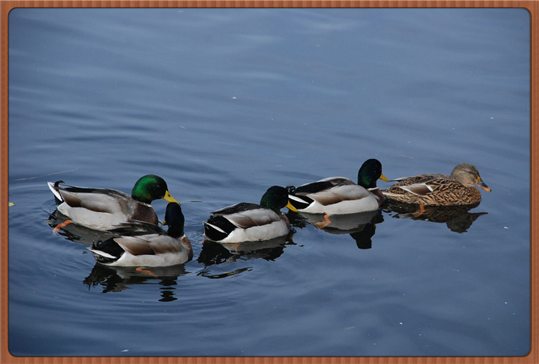 DSC_0322.jpg