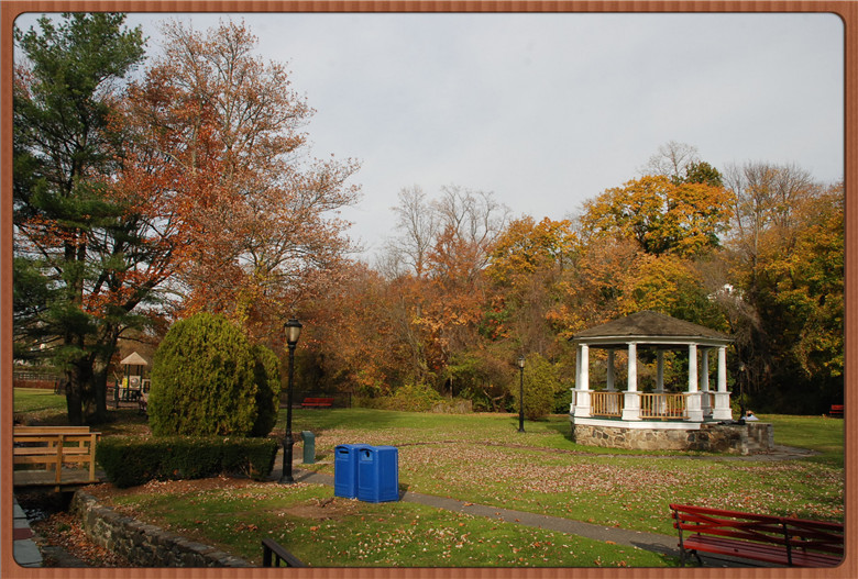 DSC_0263.jpg