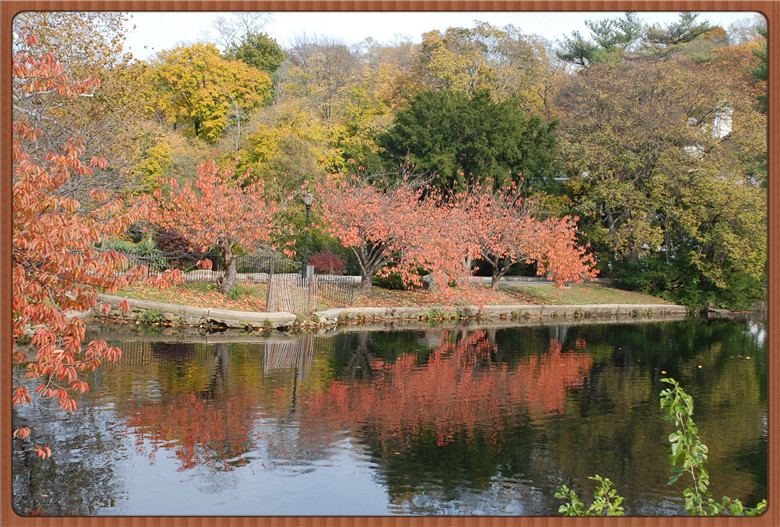 DSC_0201.jpg