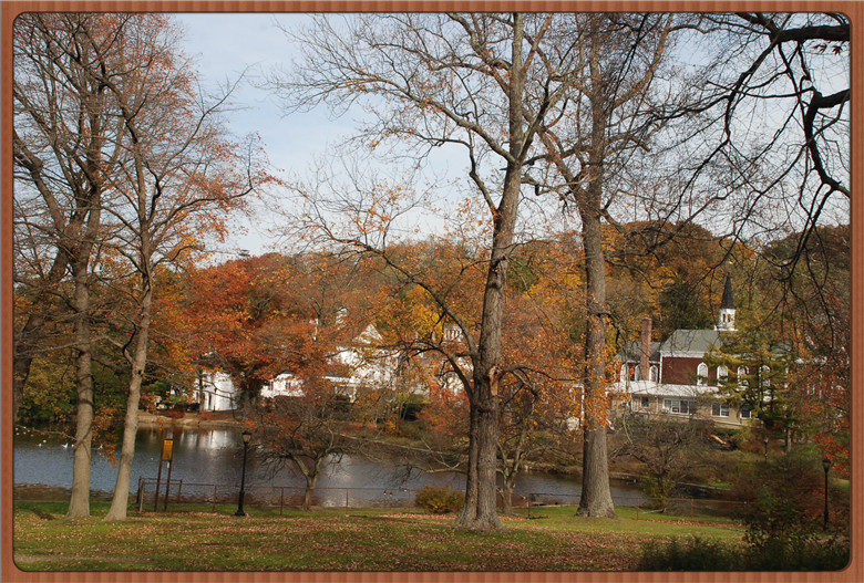 DSC_0111.jpg