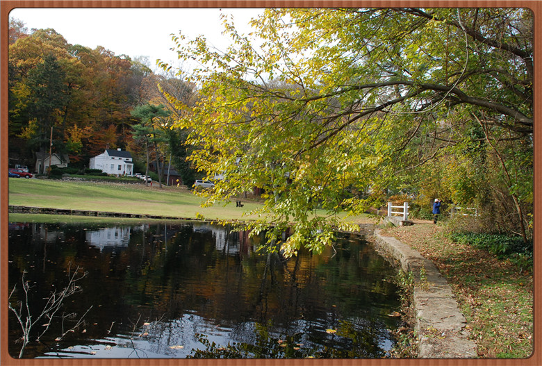 DSC_0086.jpg