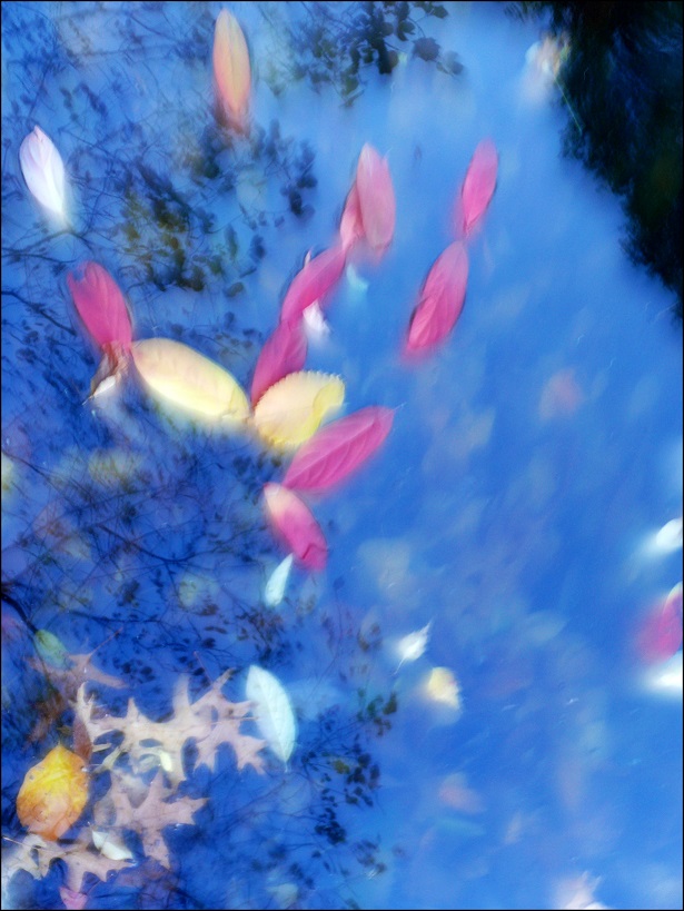 l1860116_conew1.jpg