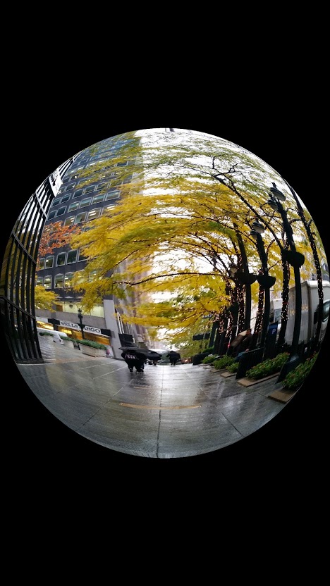 20141117_115920[2].jpg