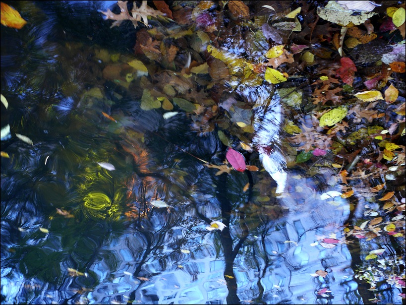 l1860406_conew1.jpg