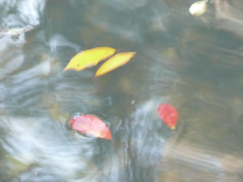 L1860046.JPG