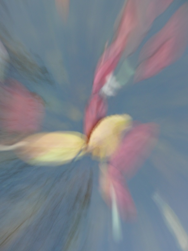 L1860109.JPG
