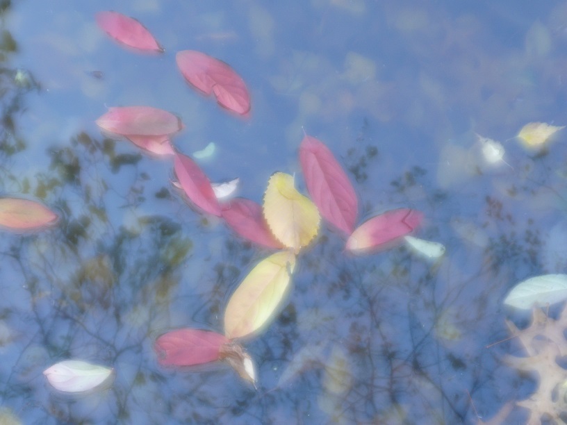 L1860113.JPG